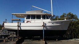 bay belle